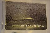 2013-03-11-bible-vcera-dnes-a-zitra-valasske-klobouky-0001-0049
