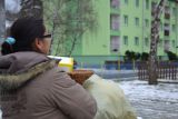 2013-01-21-vystava-bible-vcera-dnes-a-zitra-giraltovce-0006