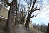 2012-03-05-vystava-bible-vcera-dnes-a-zitra-stara-lubovna-0065